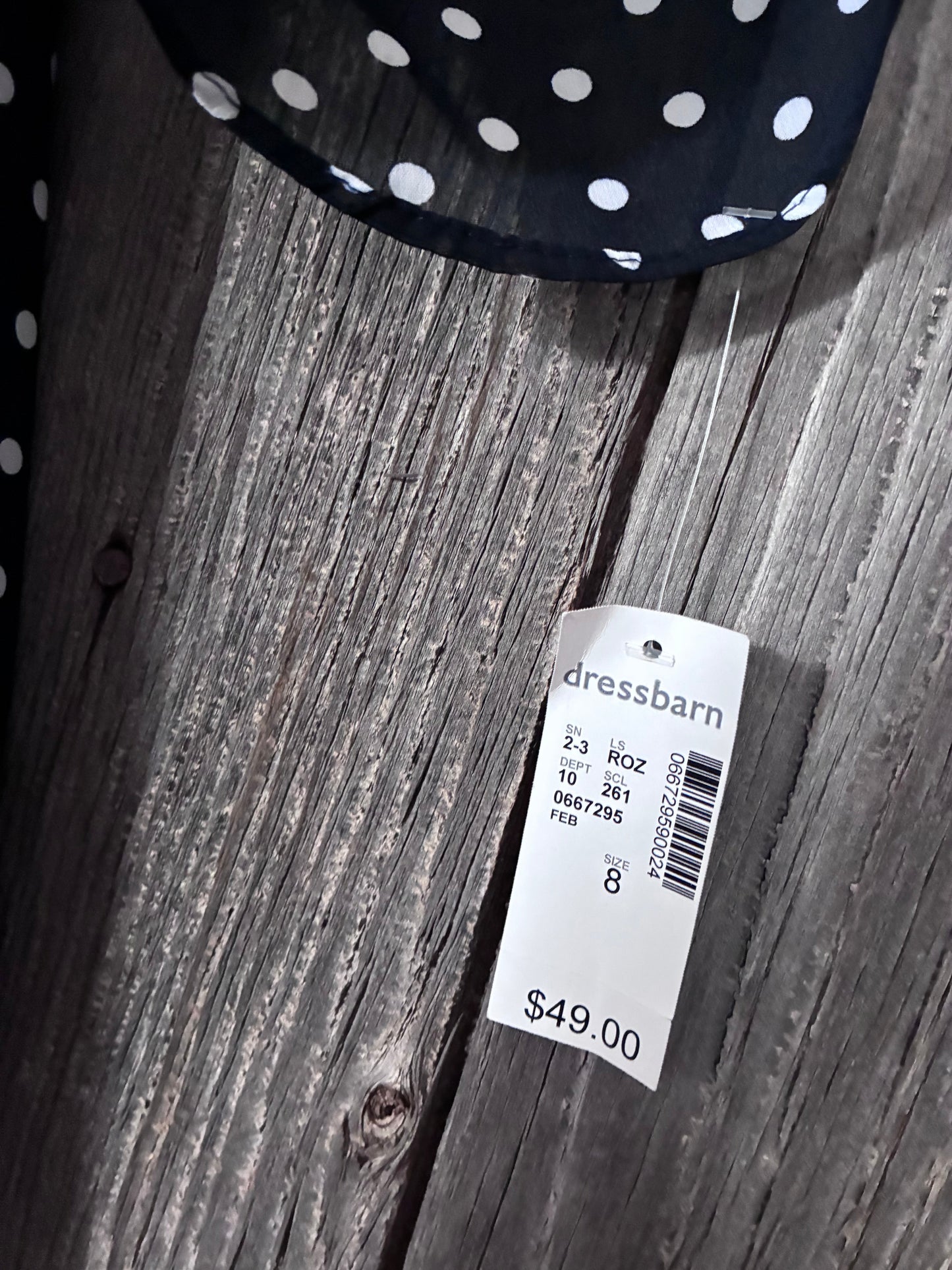 Roz & Ali Polka Dot Shift Dress