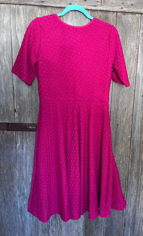Bella Bird Magenta Textured Skater Dress – L
