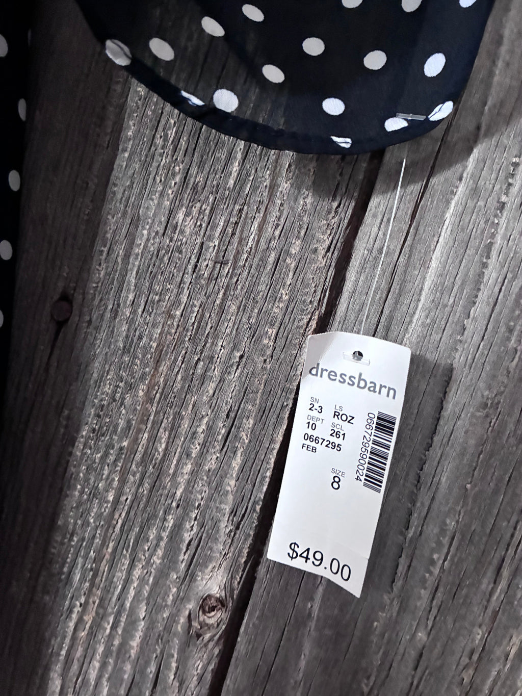 Roz & Ali Polka Dot Shift Dress